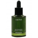 Fresh Cactus Bouncy Serum with 99.47% Nopal Cactus