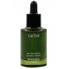Fresh Cactus Bouncy Serum with 99.47% Nopal Cactus