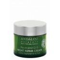 Resveratrol Q10 Night Repair Cream (with Organic Fruit Stem Cells)