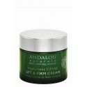 Hyaluronic DMAE Lift & Firm Cream (with Resveratrol, Coenzyme Q10 and Organic Fruit Stem Cells)