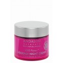 1000 Roses Heavenly Night Cream (with Hyaluronic Acid and Organic Fruit Stem Cells)