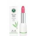 Organic lipstick with shea butter and rosehip oil (Camellia)