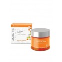 Pumpkin Honey Glycolic Mask (with Vitamin C and Organic Fruit Stem Cells)