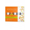 Brightening Organic Cosmetics by Andalou Naturals Gift Set
